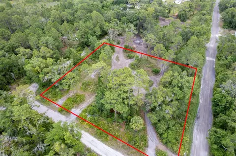 Ryland Avenue, New Port Richey, FL 34654