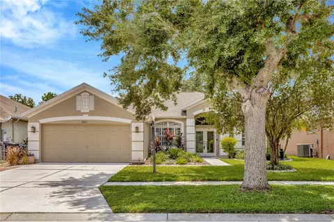10013 Cannon Dr, Riverview, FL 33578