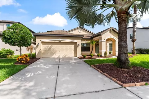 8446 Bluevine Sky Dr, Land O Lakes, FL 34637