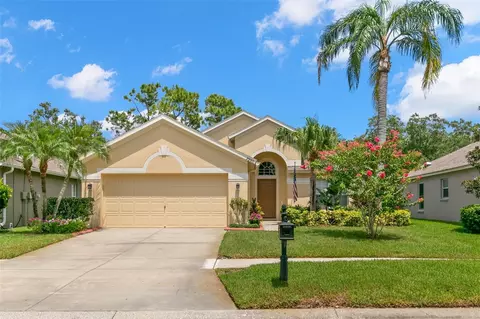9980 Stockbridge Dr, Tampa, FL 33626