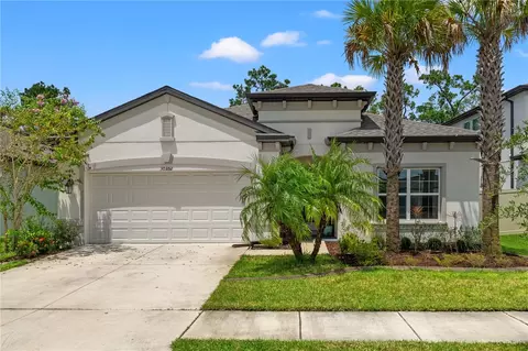 30351 Marquette Ave, Wesley Chapel, FL 33545