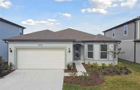 20783 Balsam Hill Rd, Land O Lakes, FL 34638