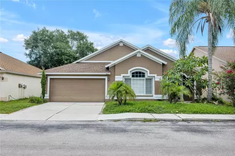 8812 Cypress Hammock Dr, Tampa, FL 33614