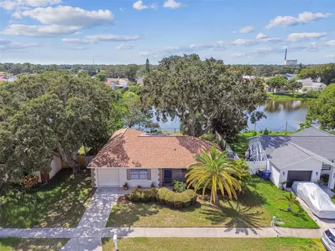 1119 Mandarin Dr, Holiday, FL 34691