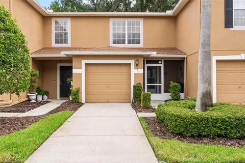 4326 Silver Falls Dr, Land O Lakes, FL 34639