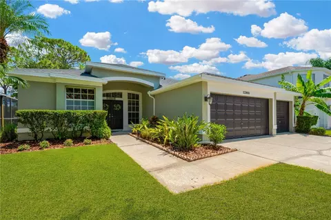 12908 Royal George Ave, Odessa, FL 33556