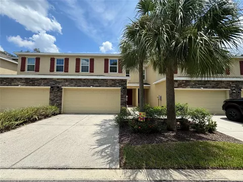 13109 Canopy Creek Dr, Tampa, FL 33625