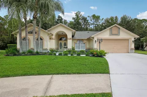 4870 Basswood St, Land O Lakes, FL 34639