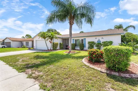 11223 Fiddlewood Dr, Riverview, FL 33579