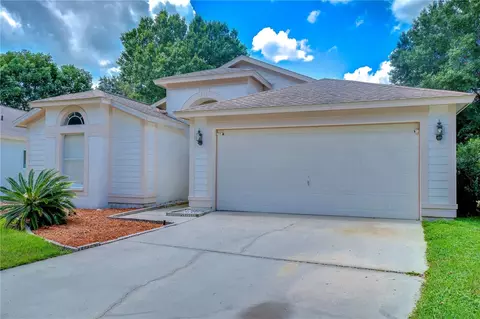 10121 Heather Sound Dr, Tampa, FL 33647