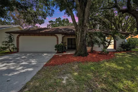 1426 Wicklow Dr, Palm Harbor, FL 34684