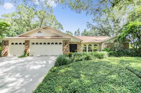 3901 Blue Maidencane Pl, Valrico, FL 33596