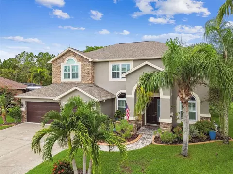 12927 Castlemaine Dr, Tampa, FL 33626