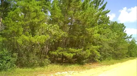 0 Childs Rd, Interlachen, FL 32148
