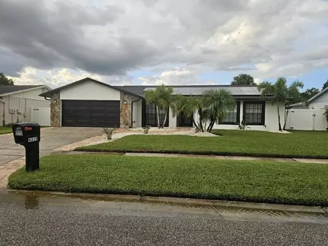 4315 Hollow Hill Dr, Tampa, FL 33624