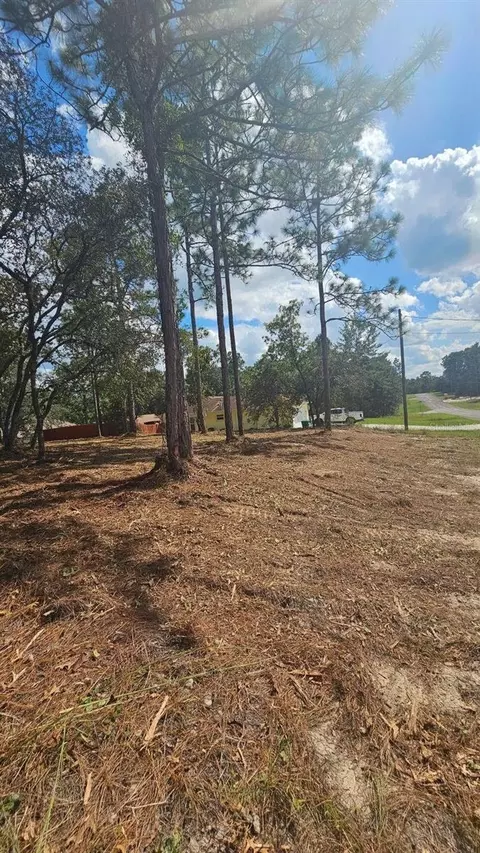 9821 N Stafford Dr, Citrus Springs, FL 34433