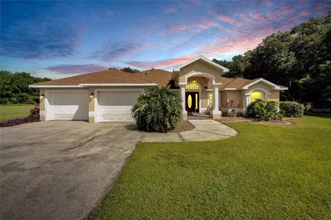 10318 Little Creek Pl, Dover, FL 33527