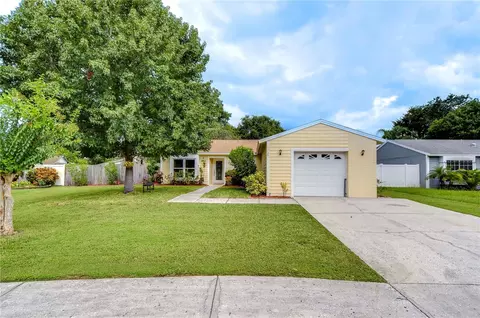 4928 Hi Vista Cir, Tampa, FL 33625