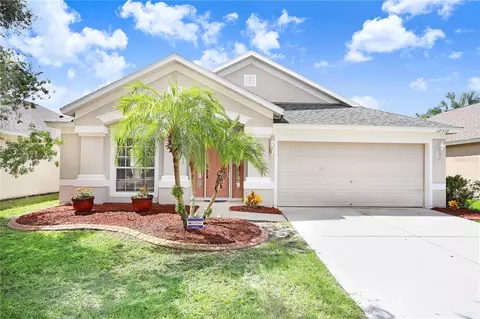 12319 Cedarfield Dr, Riverview, FL 33579 photo 1