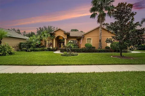 824 Citrus Wood Ln, Valrico, FL 33594