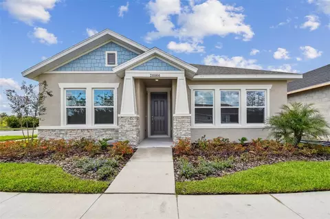 28866 Hillcrest Valley Blvd, Wesley Chapel, FL 33543