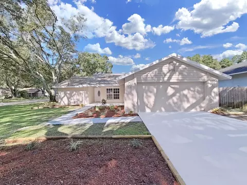 18228 Dolly Brook Ln, Lutz, FL 33549