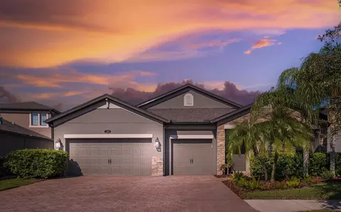 1807 Cameron Ct, Trinity, FL 34655