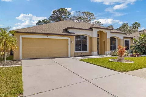 10918 Rain Lilly Pass, Land O Lakes, FL 34638