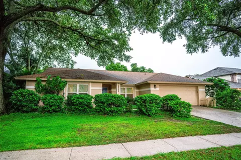 2509 Arborwood Dr, Valrico, FL 33596