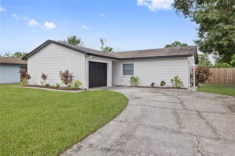 13908 Pathfinder Dr, Tampa, FL 33625