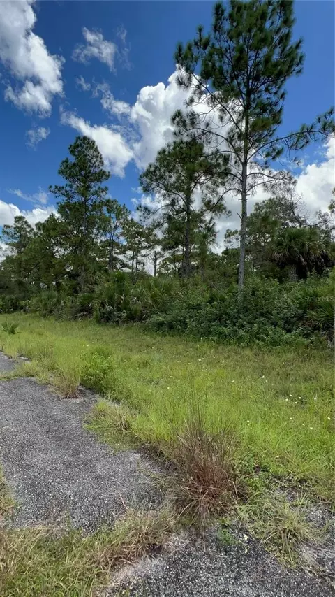 313 James Irwin Ter, Labelle, FL 33935 photo 3