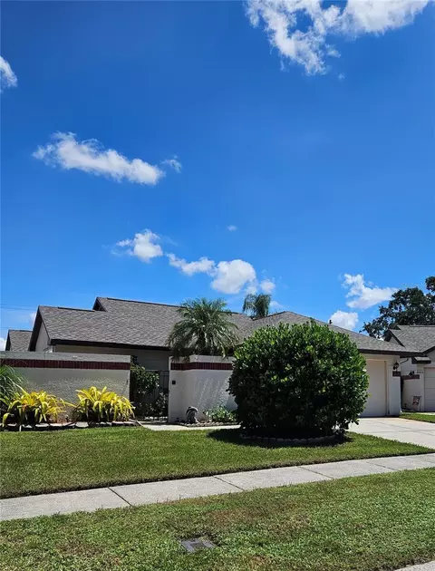 6925 Silvermill Dr, Tampa, FL 33635
