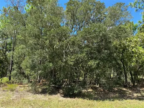 6499 N Dorian Ter, Dunnellon, FL 34433