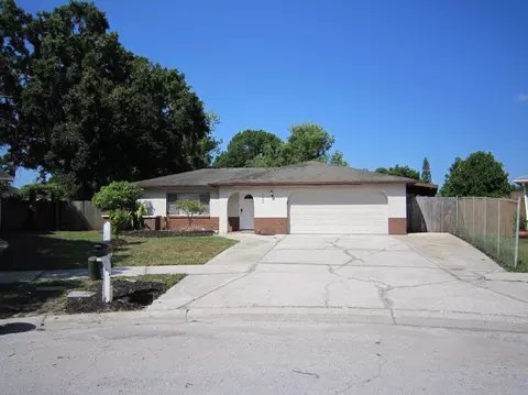 7729 Jodi Lynn Dr, Tampa, FL 33615
