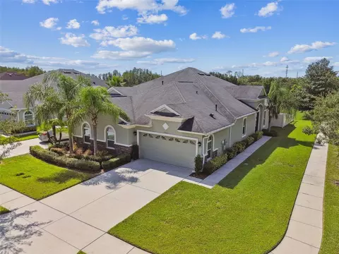 20610 Amanda Oak Ct, Land O Lakes, FL 34638
