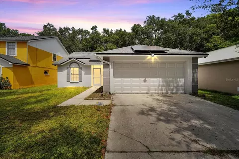 1738 Brandon Trace Ave, Brandon, FL 33510