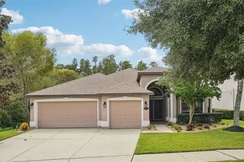 19220 Pepper Grass Dr, Tampa, FL 33647