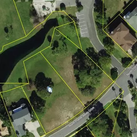N Pointe Alexis Drive, Tarpon Springs, FL 34689