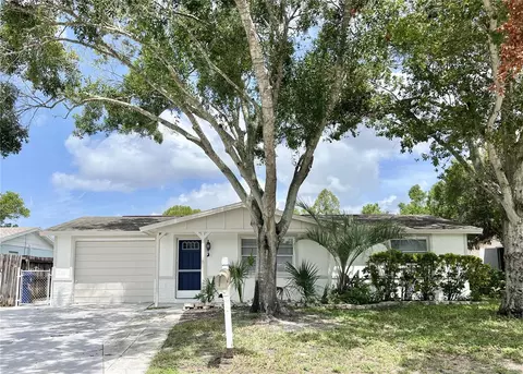 3245 Bigelow Dr, Holiday, FL 34691