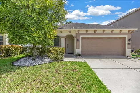 11405 Quiet Forest Dr, Tampa, FL 33635