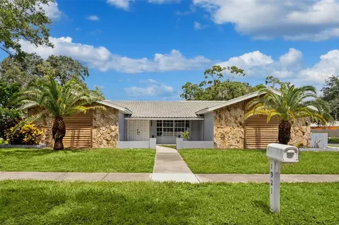 1921 Blue Heron Way, Palm Harbor, FL 34683