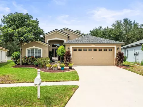 4446 Horseshoe Pick Ln, Valrico, FL 33594