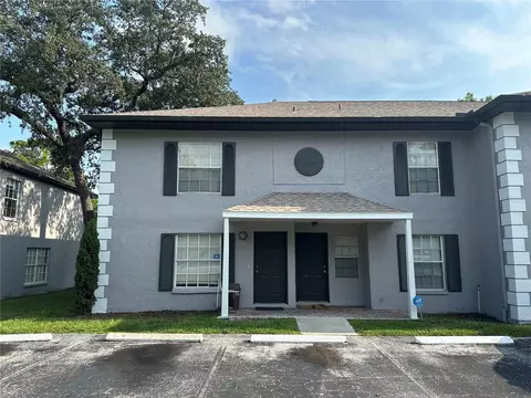 5160 Sunridge Palms Dr, Tampa, FL 33617