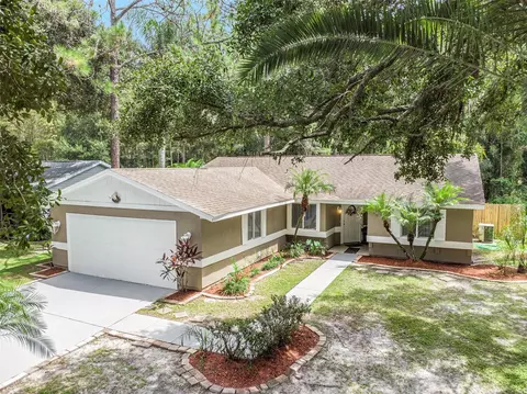 5344 Black Pine Dr, Tampa, FL 33624
