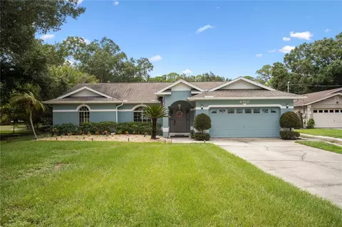 6910 W Creek Dr, Tampa, FL 33615