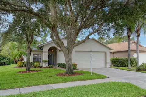 1331 Hickory Moss Pl, Trinity, FL 34655