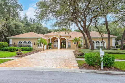 17914 Burnt Oak Ln, Lithia, FL 33547