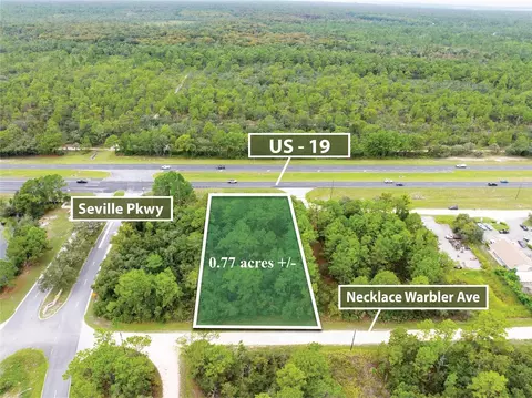 Nicasio Jay Avenue, Brooksville, FL 34614