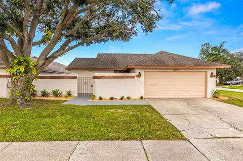 6901 Silvermill Dr, Tampa, FL 33635