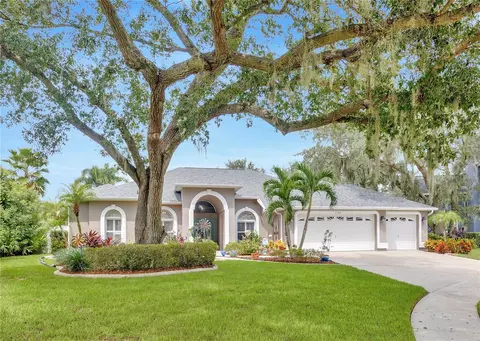1104 Linford Ct, Valrico, FL 33596